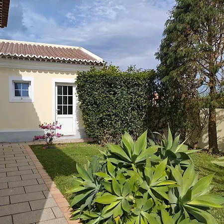 Casa Dos Amigos 2